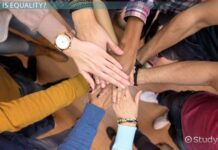 Helping Form an Egalitarian Society